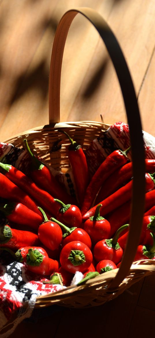 chili, pepper, basket, shadow