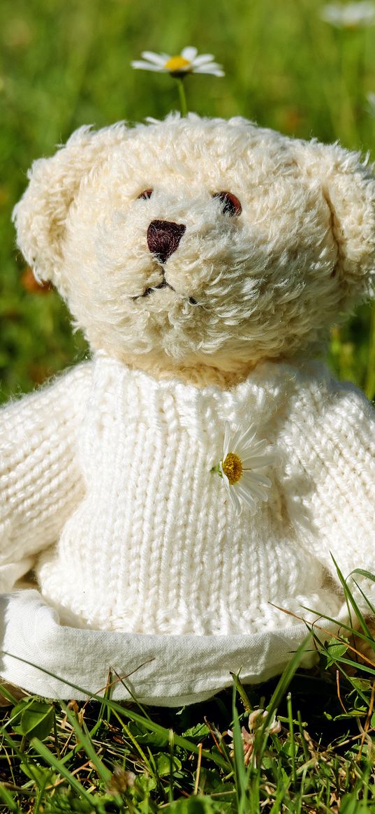 teddy bear, toy, jacket, grass