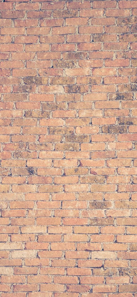 brick wall, texture, surface