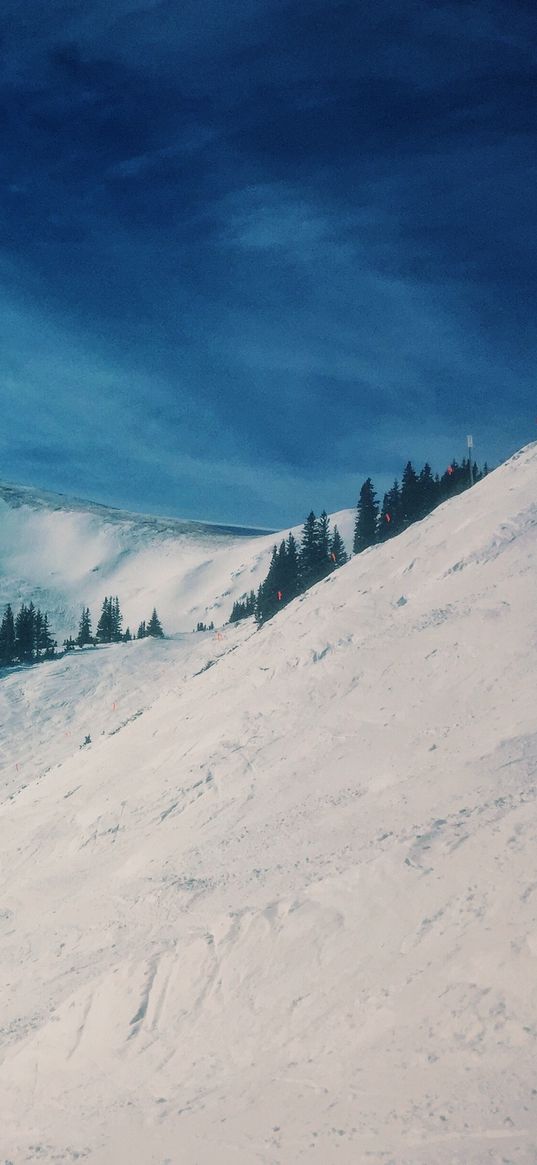 mountains, snow, winter, top, conifer