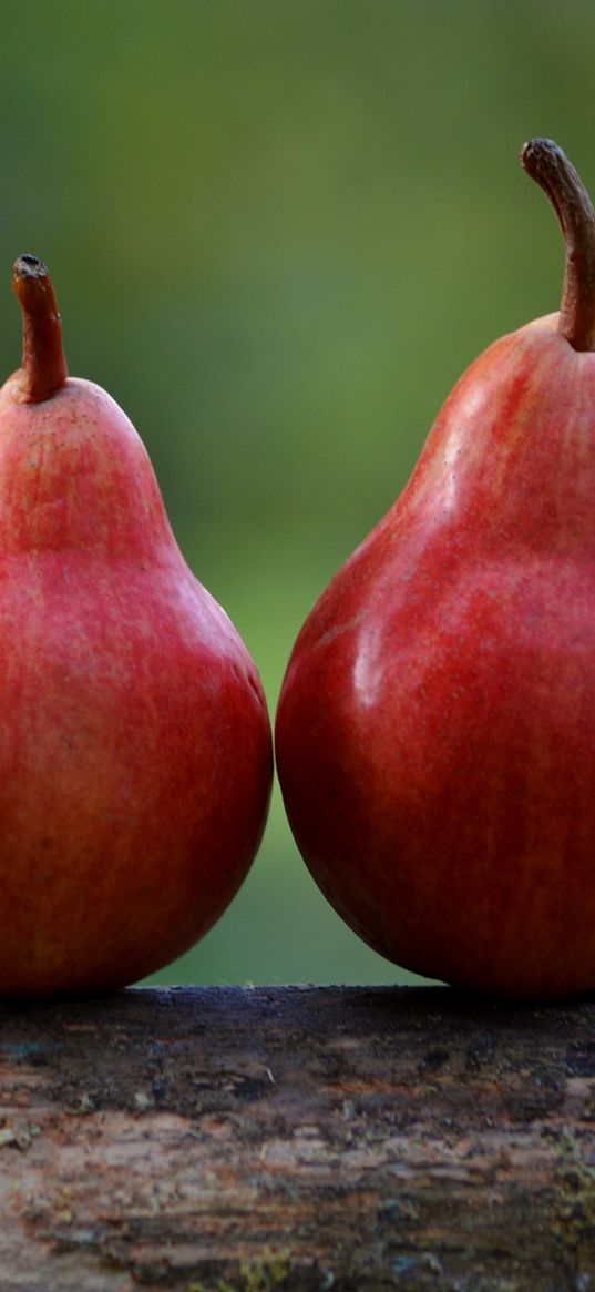 pears, fruit, ripe