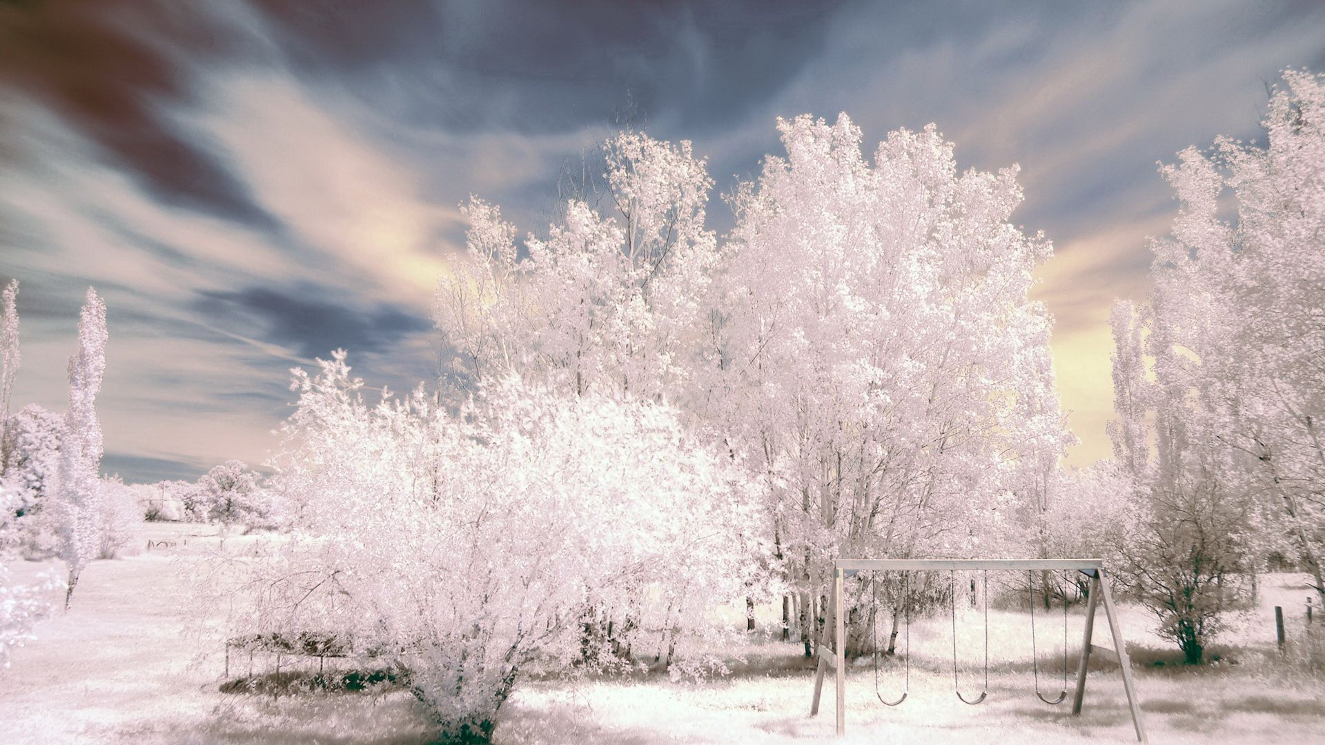 trees, snow, winter, hoarfrost, swing, park