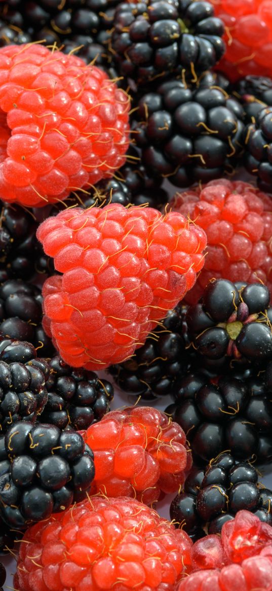 raspberries, blackberries, juicy, ripe, berries