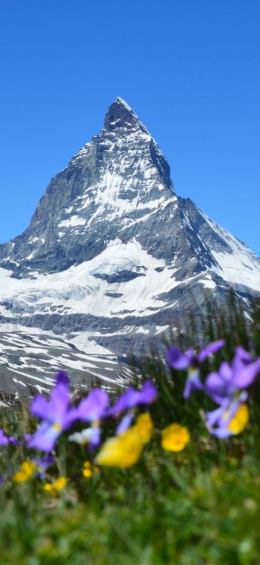 switzerland, matterhorn, alps, zermatt, mountains