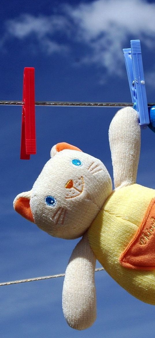 toy, cat, clothesline, dry, clothespin