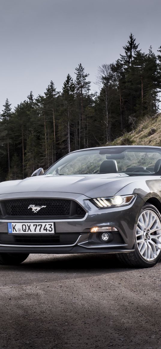 ford mustang, convertible, road