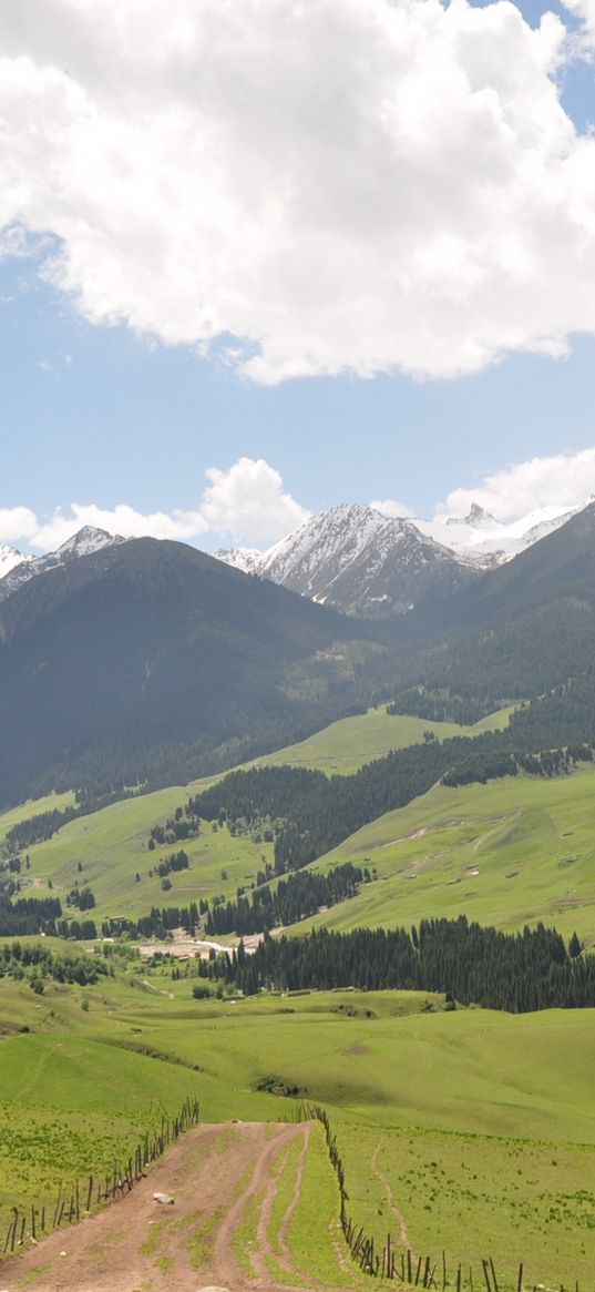 prairie, cajun, mountains, grass