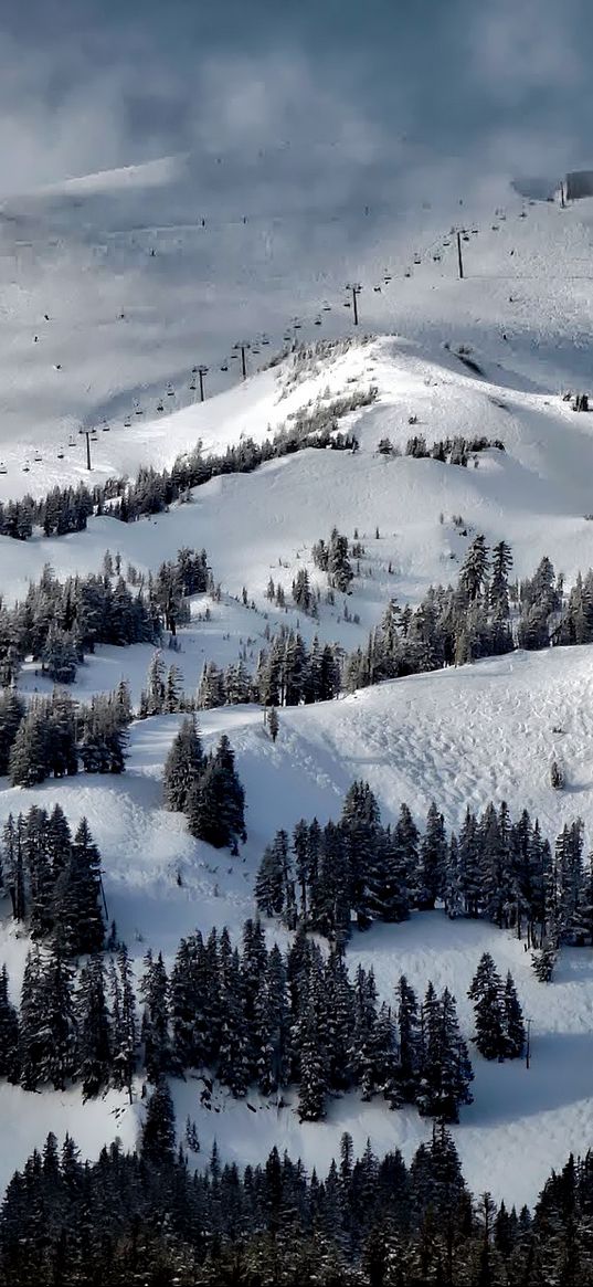 oregon, united states, trees, mountains, snow