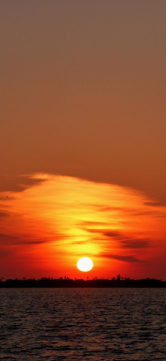 florida, beach, horizon, sunset