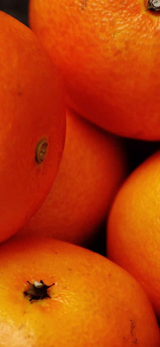 tangerines, fruit, citrus