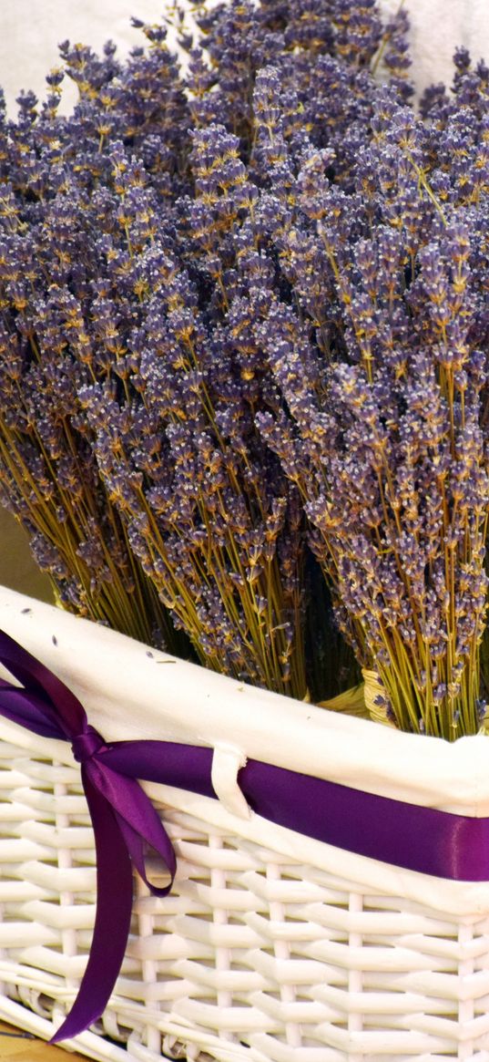 lavender, basket, flowers, fragrance