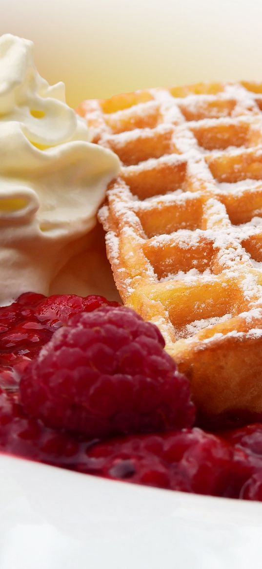 belgian waffles, powder, raspberry, cream, jam