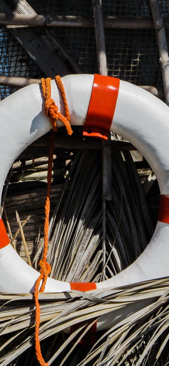 lifebuoy, reeds, equipment