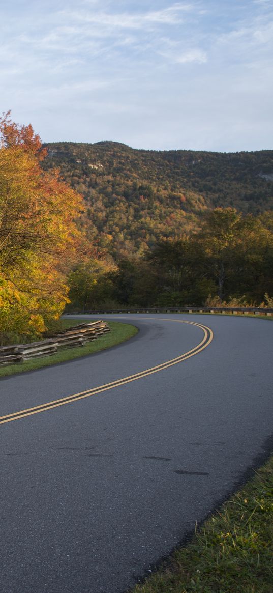 autumn, road, rotate, marking