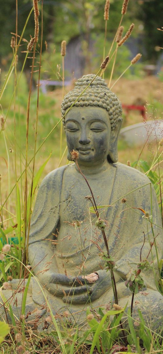 buddha, buddhism, meditation, grass