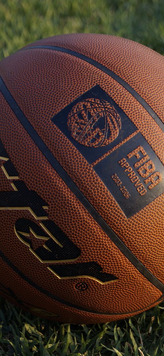 basketball ball, basketball, ball, grass
