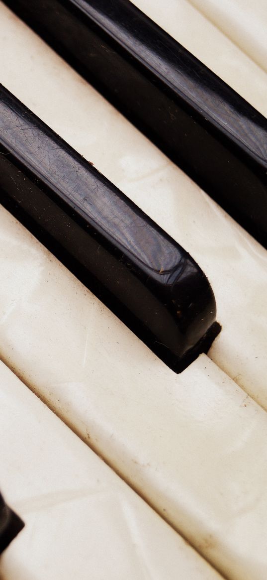 accordion, musical instrument, key, texture