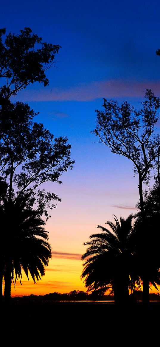 lagoon, palm trees, landscape, sunset