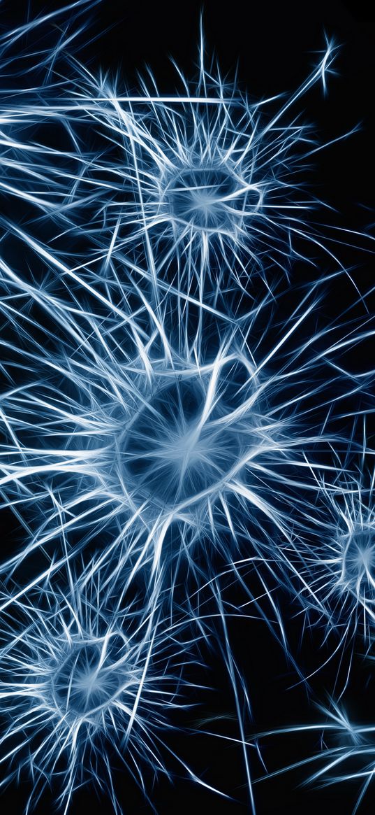 neurons, cell, structure