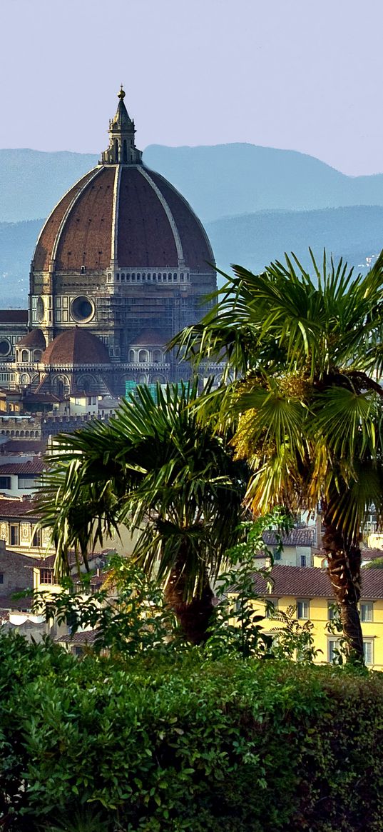 italy, florence, tuscany, dome, palm trees