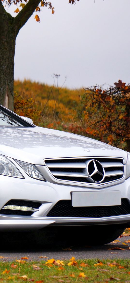 mercedes e-class, convertible, side view, autumn