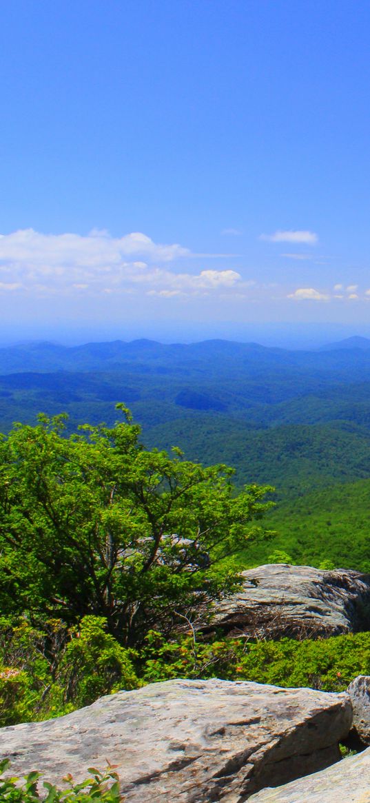 north carolina, mountains, grass, rocks