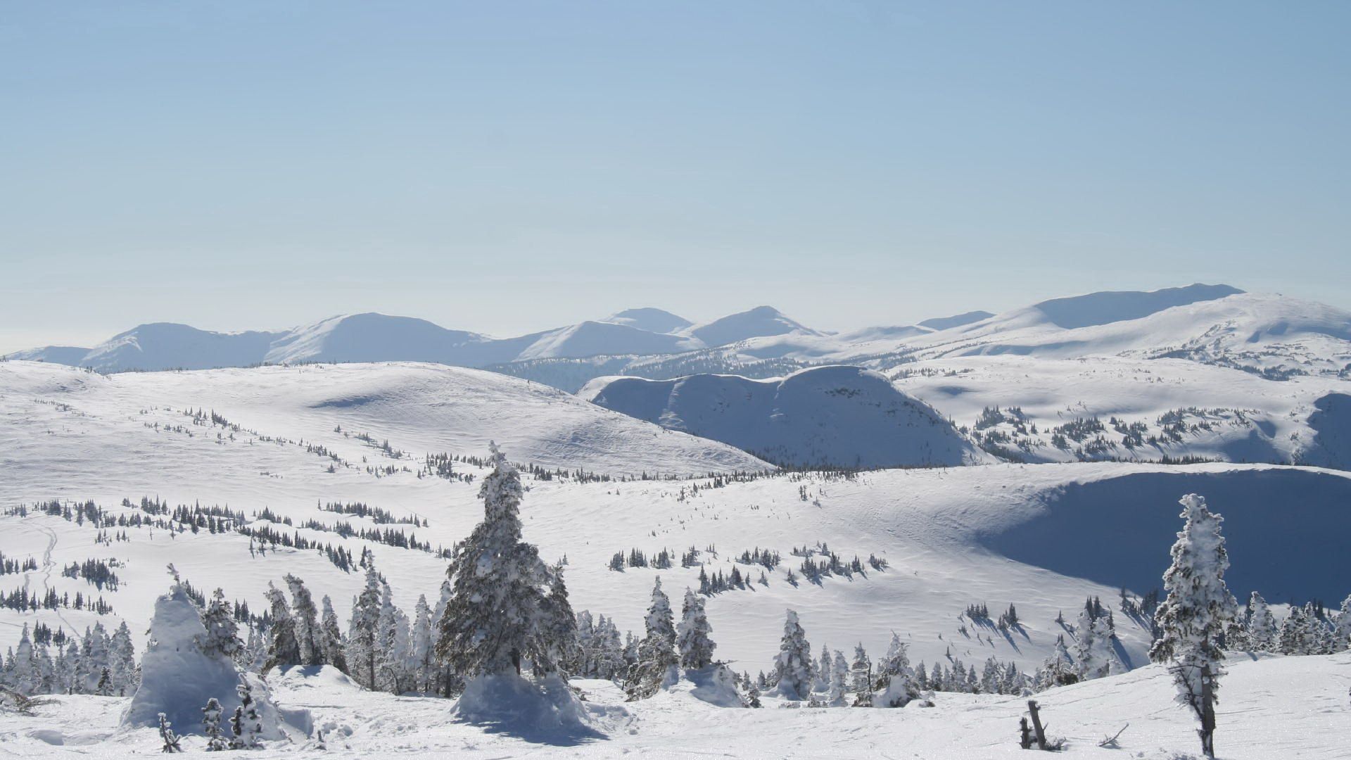 winter, mountains, slopes, trees