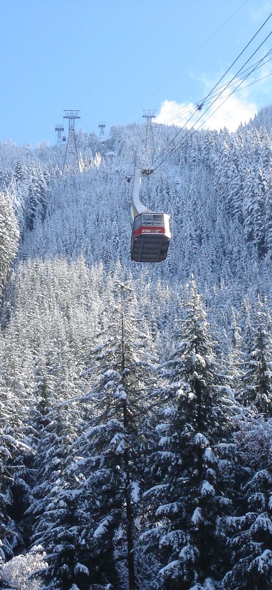 aerial lift, cabins, trees, winter