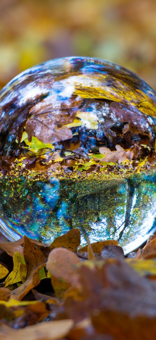 ball, glass, sphere, fall, foliage