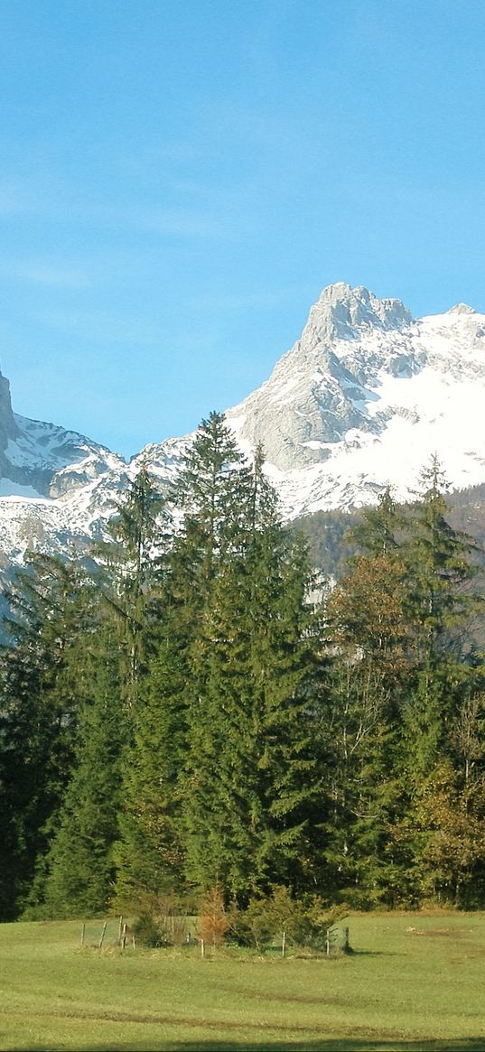 mountains, alps, trees, grass