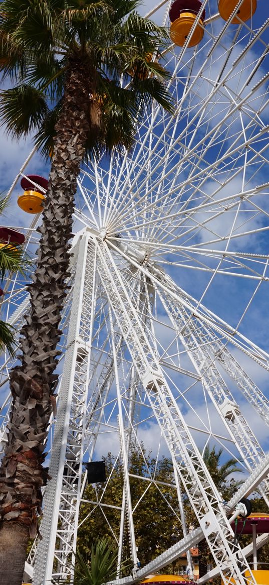 ferris wheel, amusement, palm trees