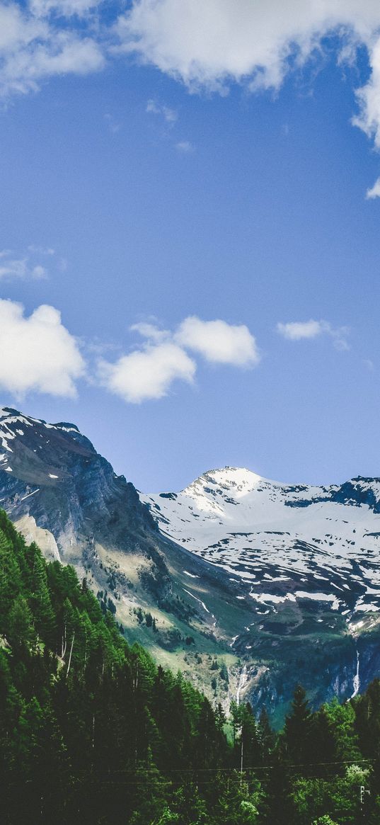 alps, mountain, hill, trees