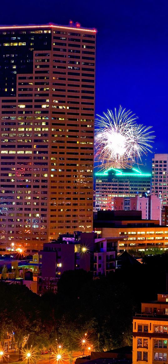 portland, oregon, night city, fireworks