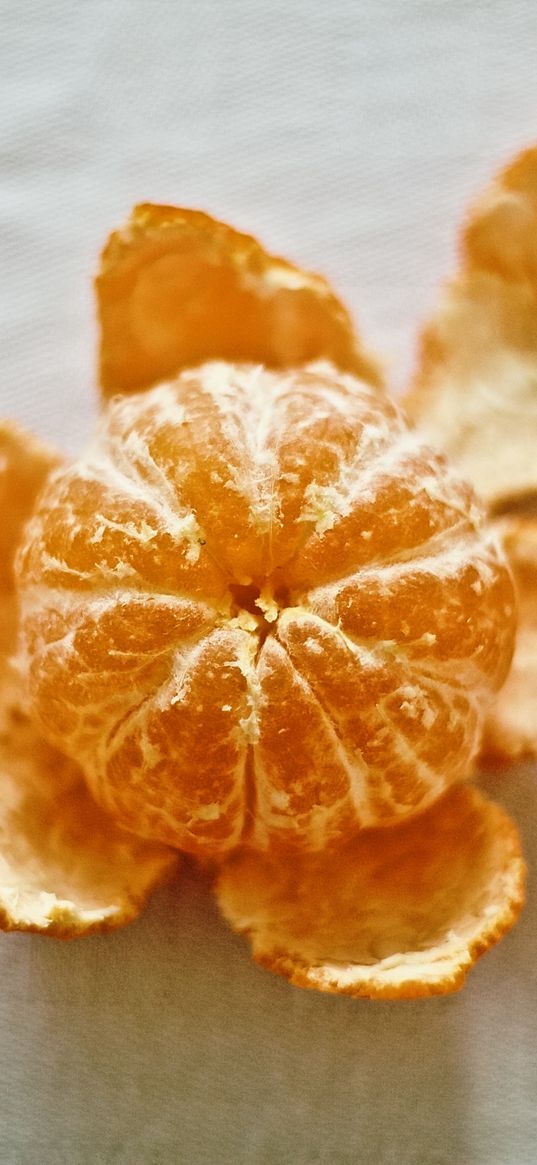 tangerine, citrus, peeled