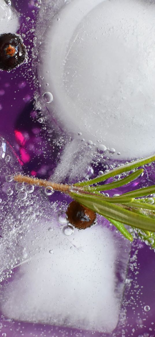 tonic, rosemary, currant, ice