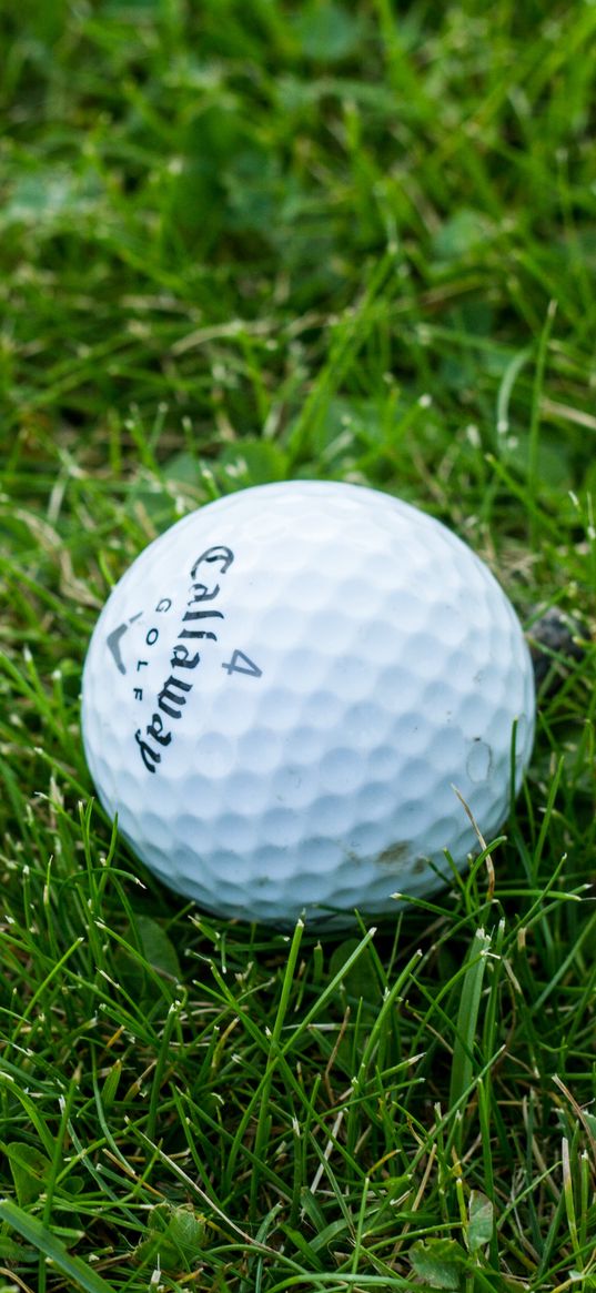 golf, ball, grass