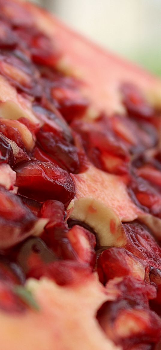 pomegranate, fruit, berries, close-up