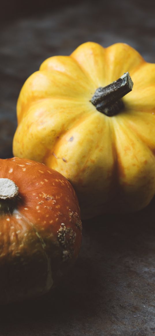 pumpkins, vegetables, form