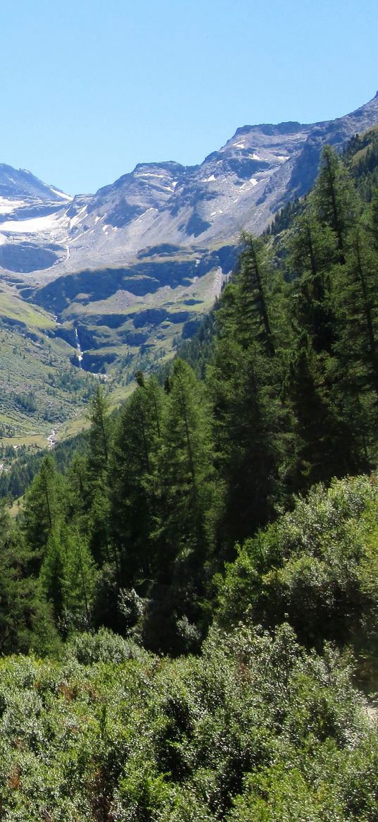 switzerland, alps, mountains, trees