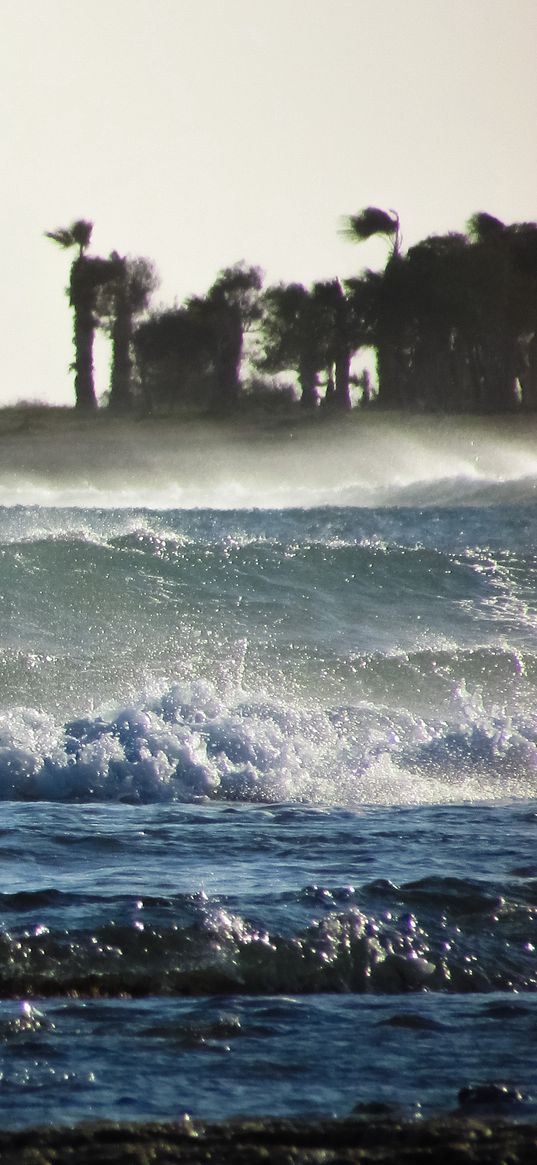 storm, sea, waves, palm trees