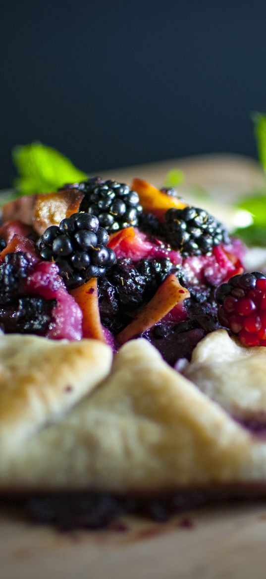 seabiscuit, baking, blackberries, raspberries, berries