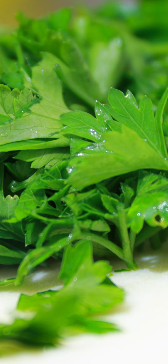 parsley, herbs, vitamins