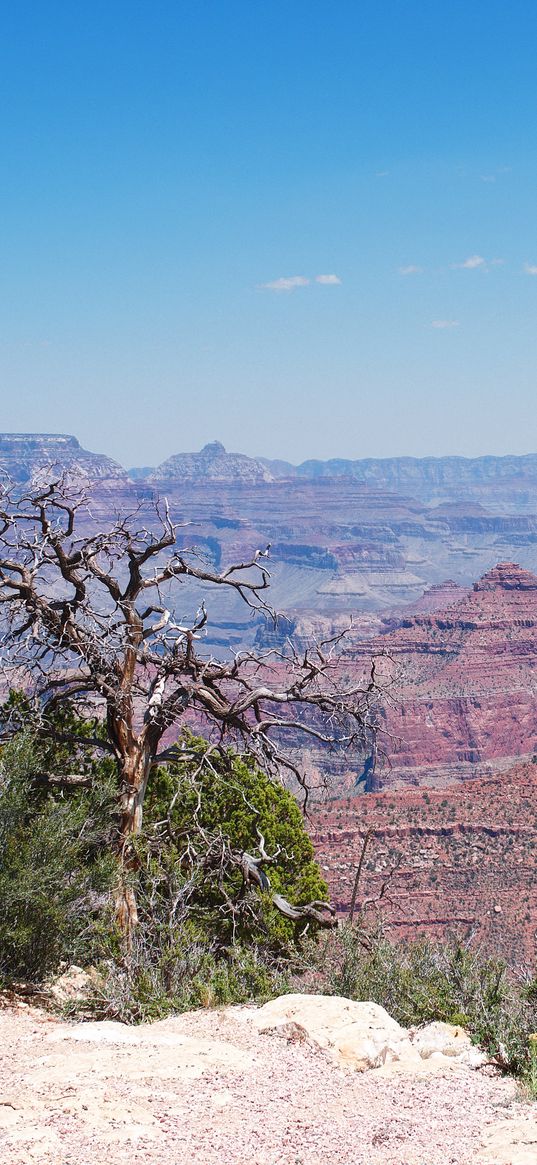 grand canyon, mountains, america, usa