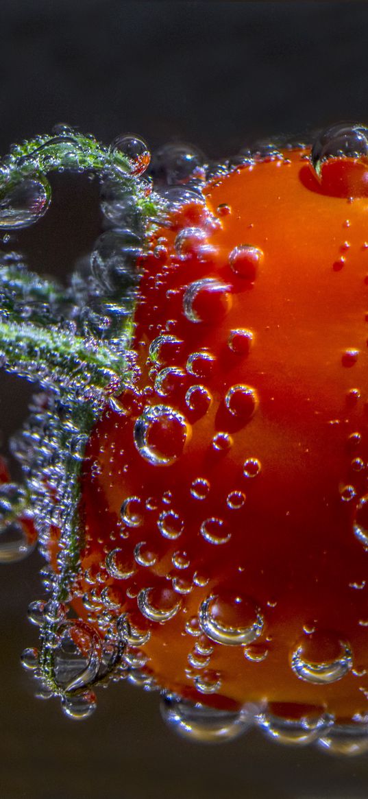 tomato, drop, close-up