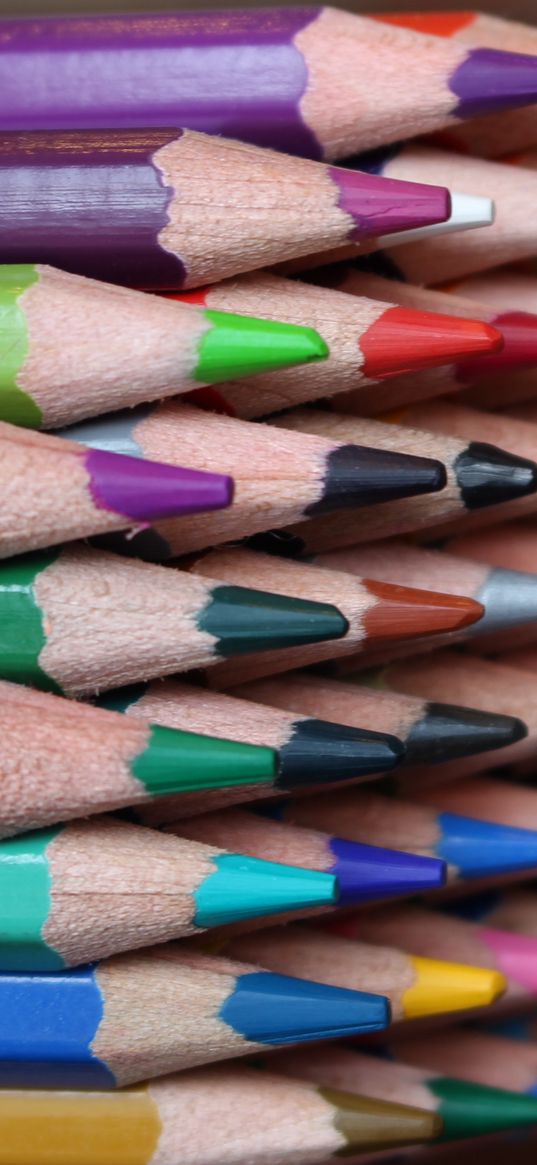 colored pencils, colorful, sharpened