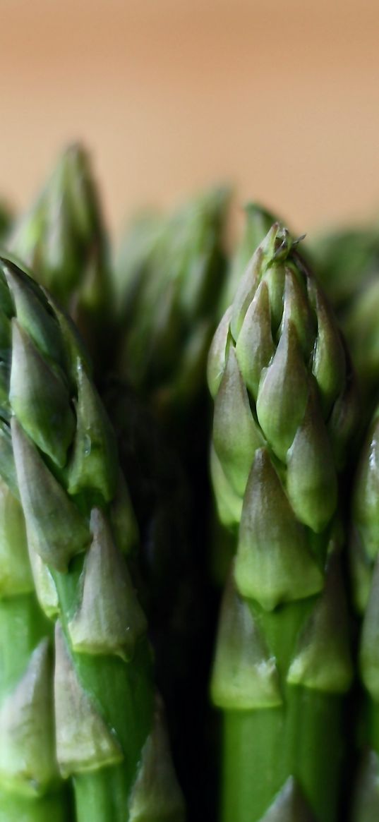 asparagus, vegetables, blur