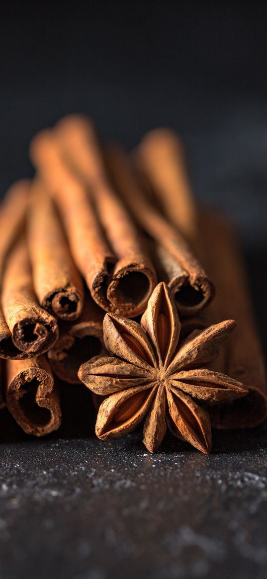 cinnamon, anise, star anise, spices