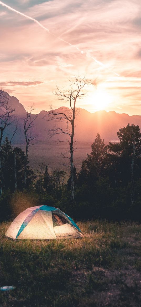 tent, camping, landscape