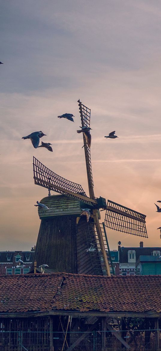 windmill, birds, buildings, sky