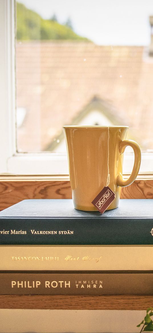 book, cup, tea, window sill, window, houseplant